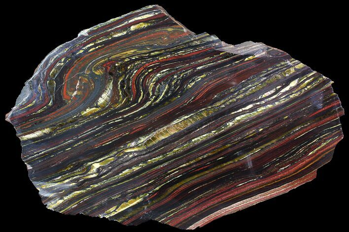 Polished Tiger Iron Stromatolite - ( Billion Years) #92814